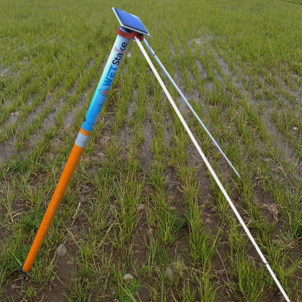 WET Stake device deployed in an irrigation field
